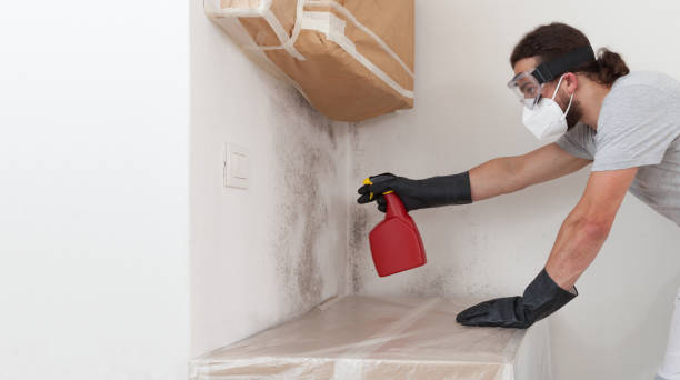 Professional Mold Remediation technician working in Sherborn, MA